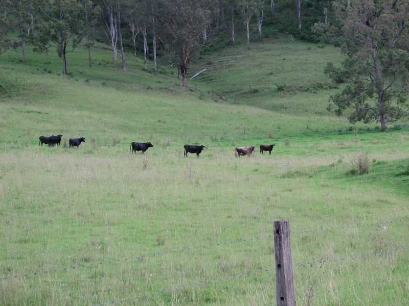 845 Eden Creek Road UPPER EDEN CREEK Via, Kyogle NSW 2474