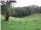 845 Eden Creek Road UPPER EDEN CREEK Via, Kyogle NSW 2474