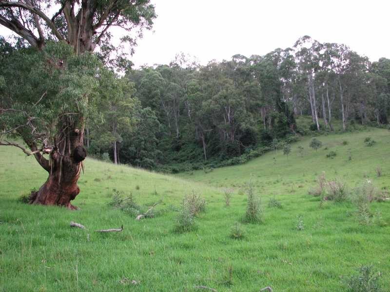 845 Eden Creek Road UPPER EDEN CREEK Via, Kyogle NSW 2474
