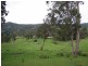 845 Eden Creek Road UPPER EDEN CREEK Via, Kyogle NSW 2474