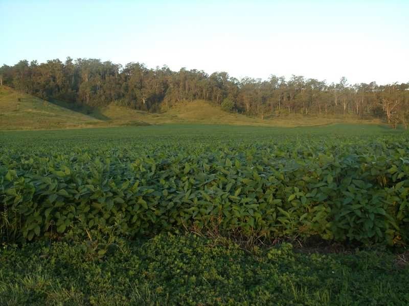 700 Reynolds Road Backmede Via, Kyogle NSW 2474