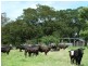 700 Reynolds Road Backmede Via, Kyogle NSW 2474