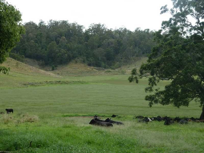 700 Reynolds Road, Backmede NSW 2470