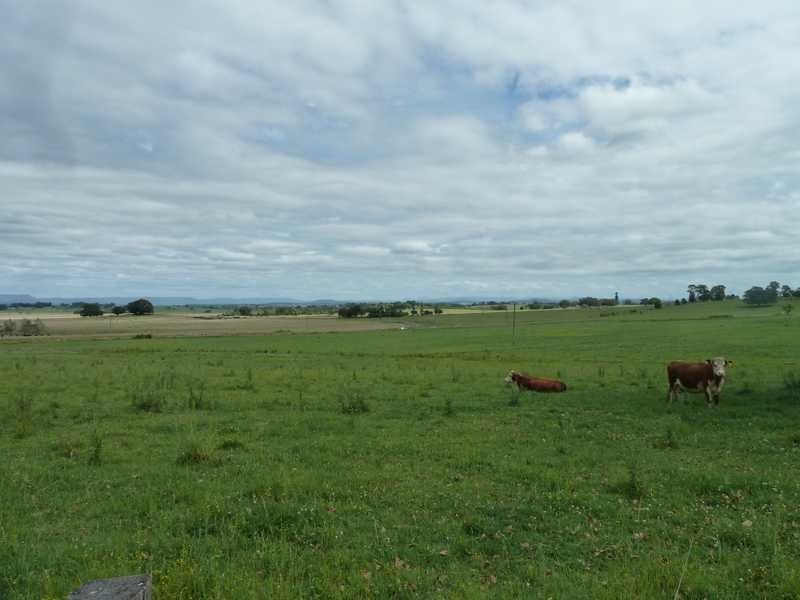 700 Reynolds Road, Backmede NSW 2470