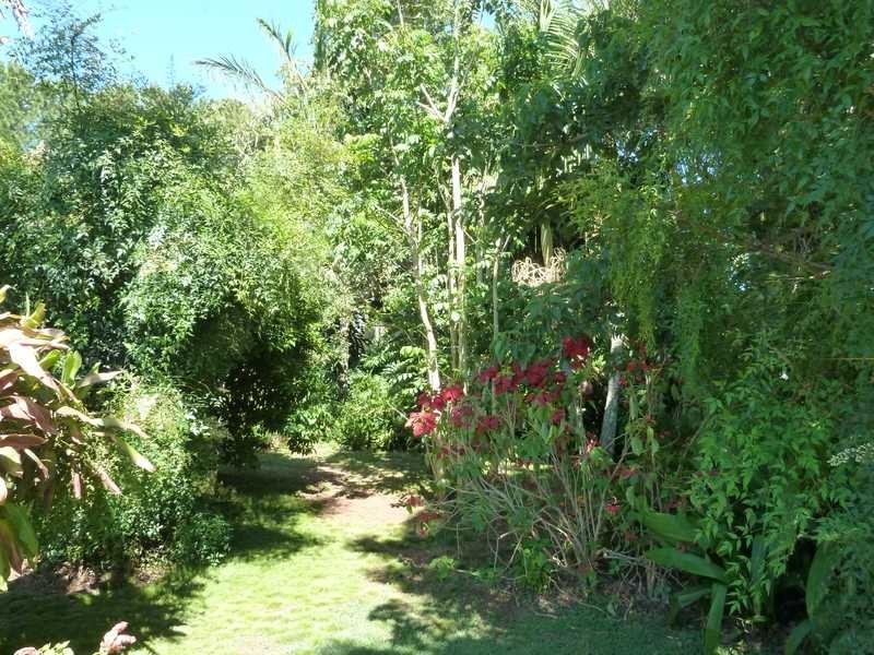 12509 Summerland Way, Kyogle NSW 2474