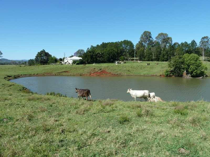 12509 Summerland Way, Kyogle NSW 2474