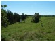 12509 Summerland Way, Kyogle NSW 2474
