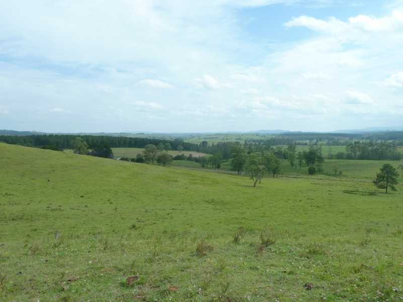 184 Pines Road, Ettrick NSW 2474