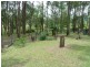 115 Runnymede Road, Kyogle NSW 2474