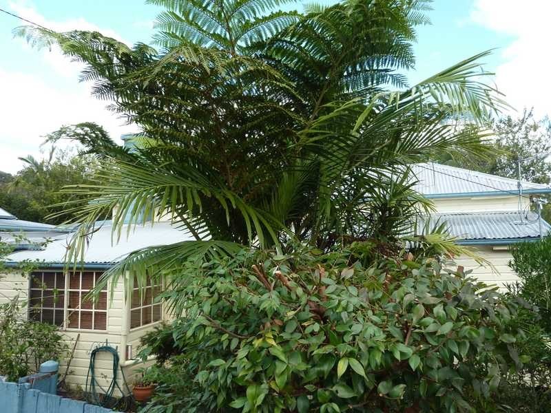 29 Gardner Lane, Kyogle NSW 2474