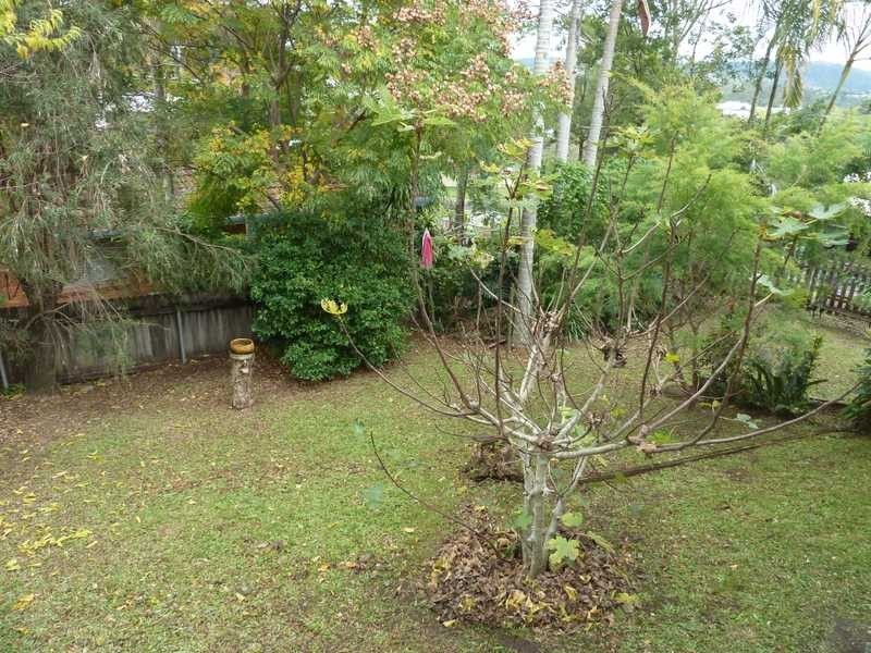 29 Gardner Lane, Kyogle NSW 2474