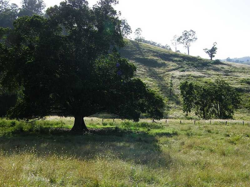 Kyogle NSW 2474