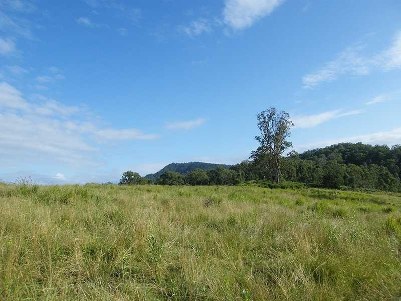 Kyogle NSW 2474