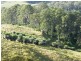 Kyogle NSW 2474