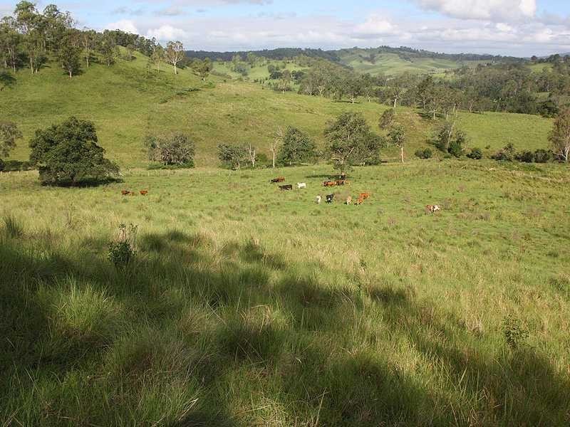 Kyogle NSW 2474