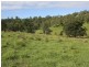 Kyogle NSW 2474