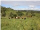 Kyogle NSW 2474