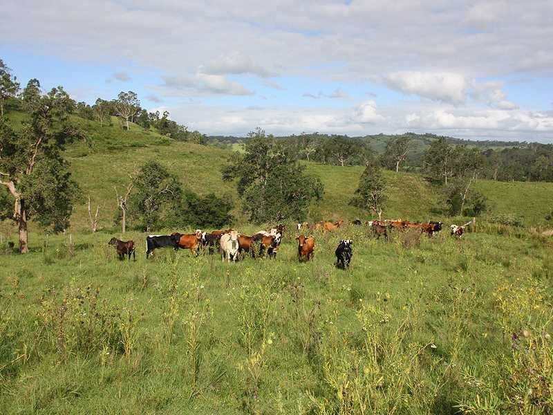 Kyogle NSW 2474