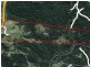 5005 Kyogle road CAWONGLA VIA, Kyogle NSW 2474