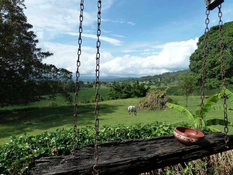 83 Highfield Road, Kyogle NSW 2474