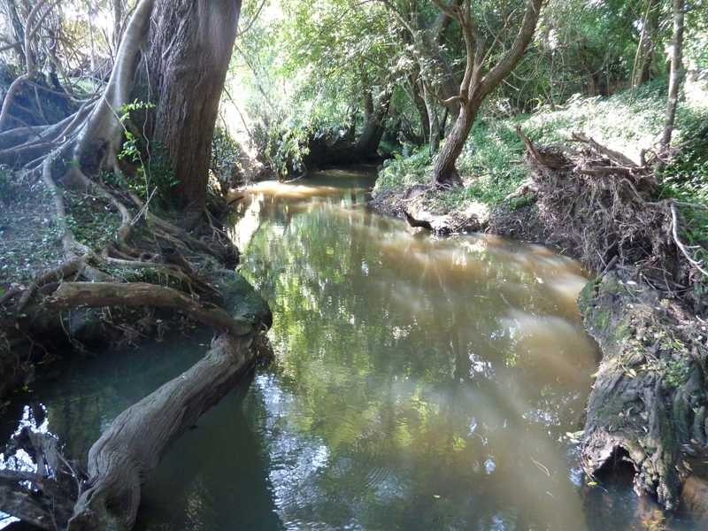 355 Wyndham Road WYNEDEN, Kyogle NSW 2474