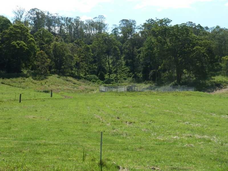 355 Wyndham Road WYNEDEN, Kyogle NSW 2474