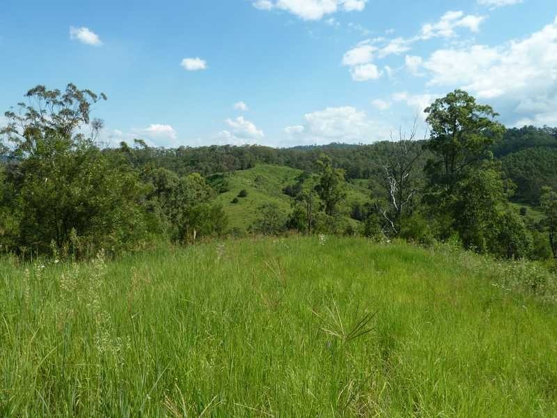355 Wyndham Road WYNEDEN, Kyogle NSW 2474