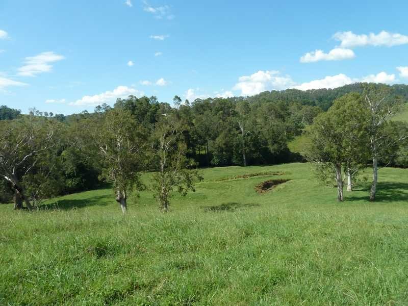 355 Wyndham Road WYNEDEN, Kyogle NSW 2474