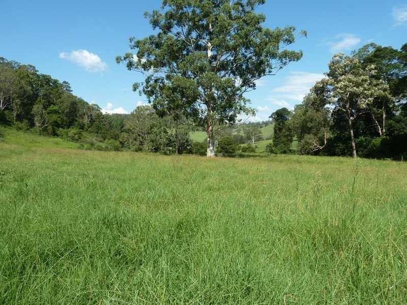 355 Wyndham Road WYNEDEN, Kyogle NSW 2474