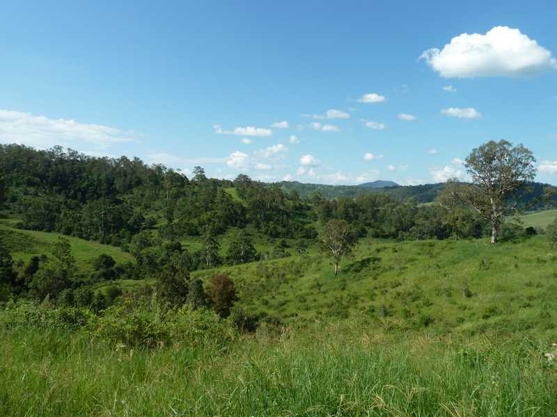 355 Wyndham Road WYNEDEN, Kyogle NSW 2474