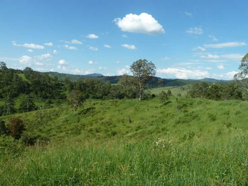 355 Wyndham Road WYNEDEN, Kyogle NSW 2474