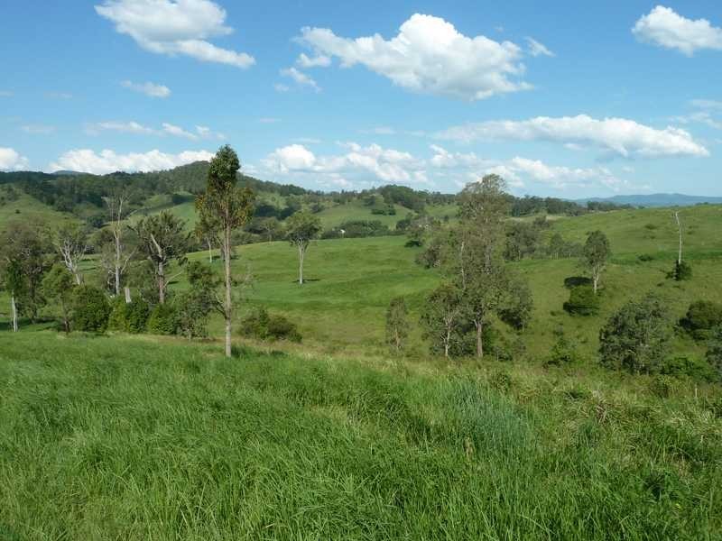 355 Wyndham Road WYNEDEN, Kyogle NSW 2474