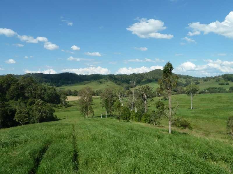 355 Wyndham Road WYNEDEN, Kyogle NSW 2474