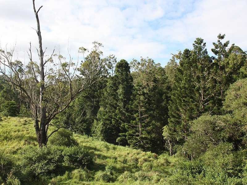 Kyogle NSW 2474