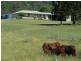 1061 Collins Creek Road, Collins Creek NSW 2474
