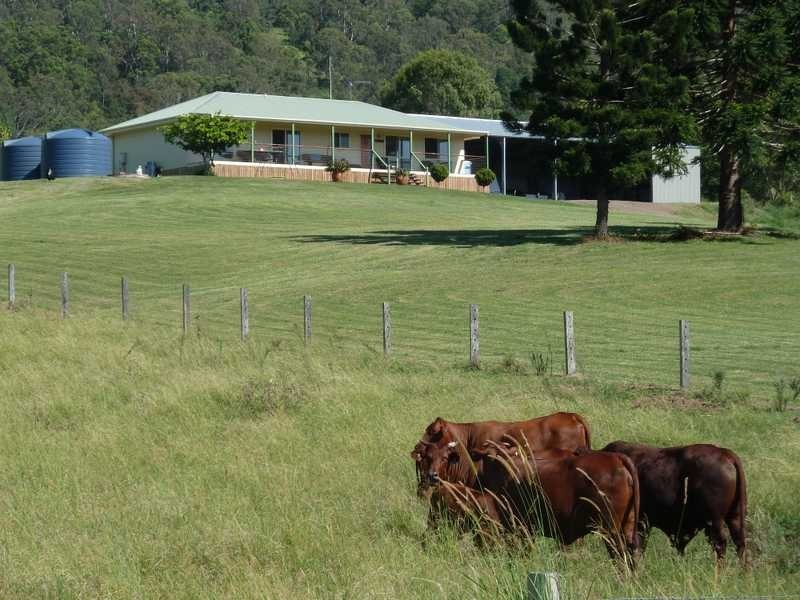 1061 Collins Creek Road, Collins Creek NSW 2474