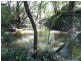 1061 Collins Creek Road, Collins Creek NSW 2474