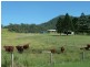 1061 Collins Creek Road, Collins Creek NSW 2474