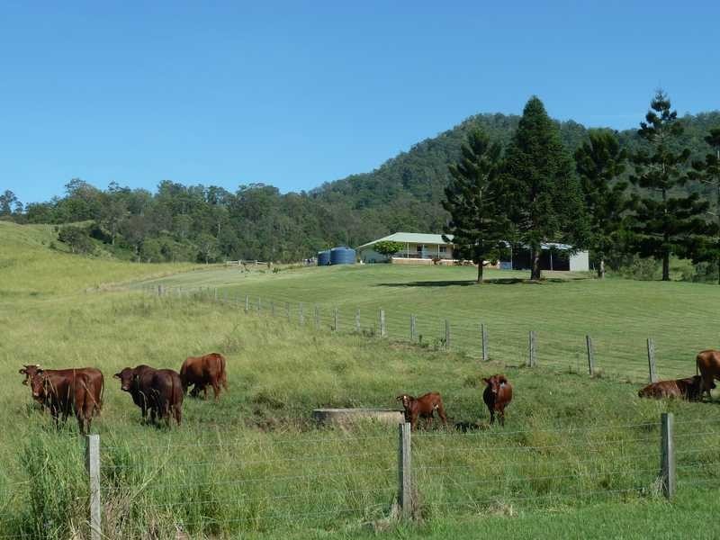 1061 Collins Creek Road, Collins Creek NSW 2474