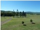 1061 Collins Creek Road, Collins Creek NSW 2474