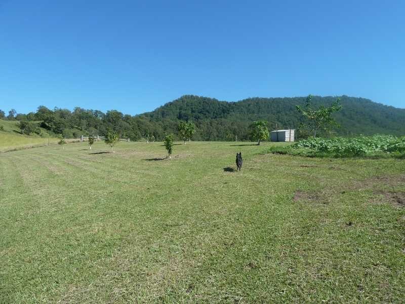1061 Collins Creek Road, Collins Creek NSW 2474