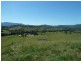 1061 Collins Creek Road, Collins Creek NSW 2474