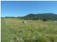 1061 Collins Creek Road, Collins Creek NSW 2474