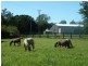 1061 Collins Creek Road, Collins Creek NSW 2474
