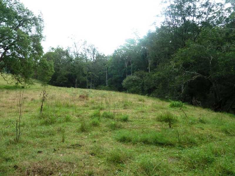 1581 Afterlee Road  AFTERLEE Via, Kyogle NSW 2474