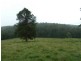 1581 Afterlee Road  AFTERLEE Via, Kyogle NSW 2474