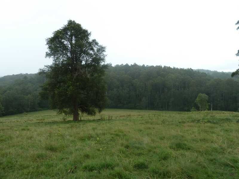 1581 Afterlee Road  AFTERLEE Via, Kyogle NSW 2474