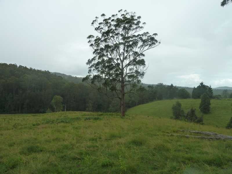 1581 Afterlee Road  AFTERLEE Via, Kyogle NSW 2474