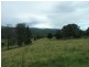 1581 Afterlee Road  AFTERLEE Via, Kyogle NSW 2474
