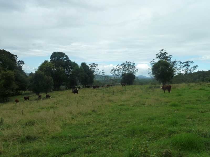 1581 Afterlee Road  AFTERLEE Via, Kyogle NSW 2474